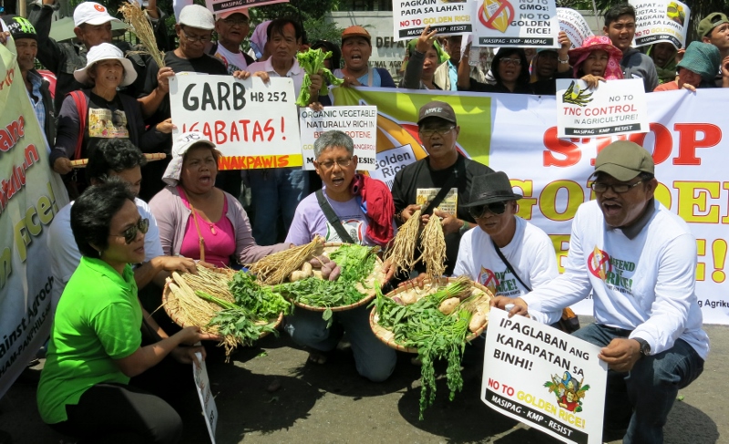 golden rice protest