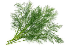 18-Spices-Scientifically-Proven-To-Prevent-and-Treat-Cancer-10-Dill