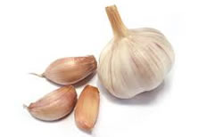 18-Spices-Scientifically-Proven-To-Prevent-and-Treat-Cancer-12-Garlic
