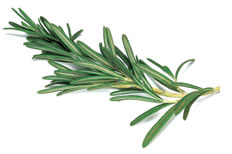 18-Spices-Scientifically-Proven-To-Prevent-and-Treat-Cancer-15-Rosemary