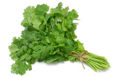 18-Spices-Scientifically-Proven-To-Prevent-and-Treat-Cancer-8-Coriander