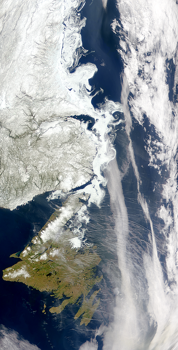 This SeaWiFS image shows aircraft contrails over the North Atlantic near Labrador, Newfoundland and lingering sea ice to the north.