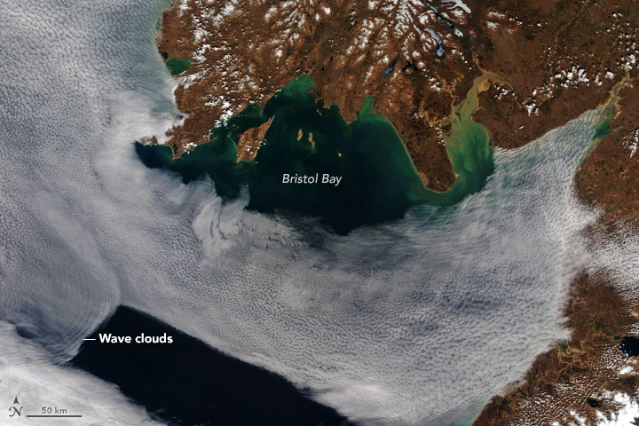 Clouds take on some stunning forms—an indication of unseen processes at work in the atmosphere. The wave clouds visible in this image over Bristol Bay in southwest Alaska are the result of two air masses colliding.